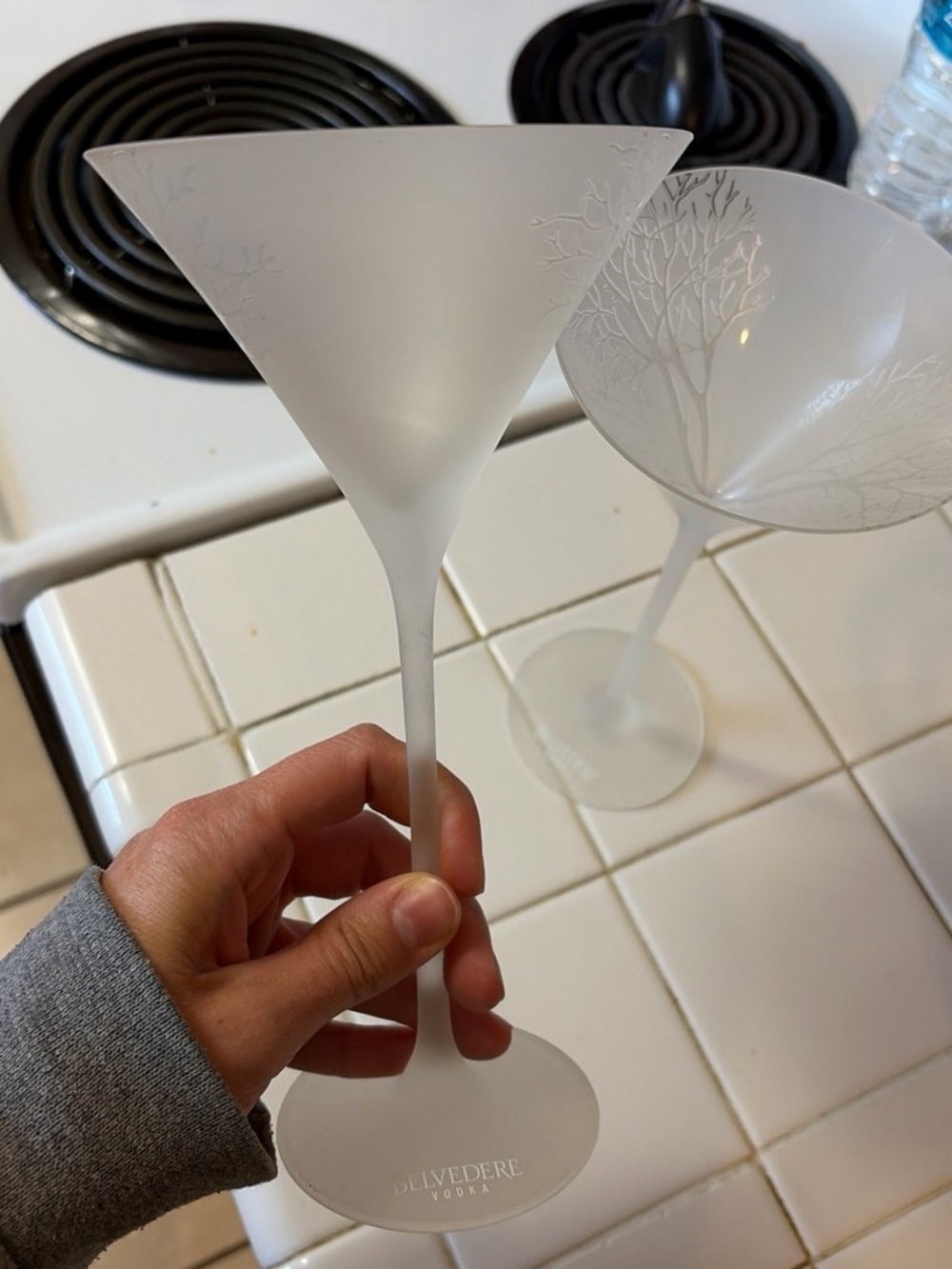 Belvedere Frosted Martini Glass - Etched Tree Design